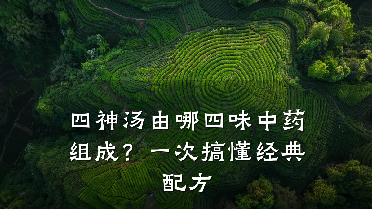 四神汤由哪四味中药组成?一次搞懂经典配方