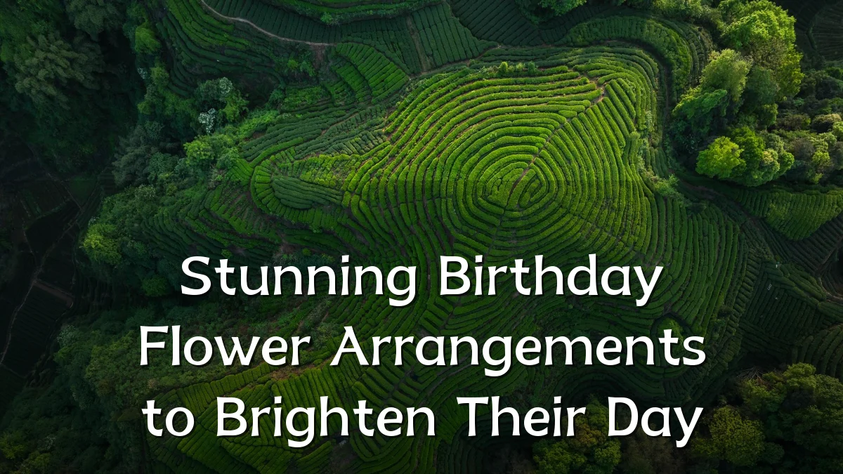 Stunning Birthday Flower Arrangements to Brighten Their Day