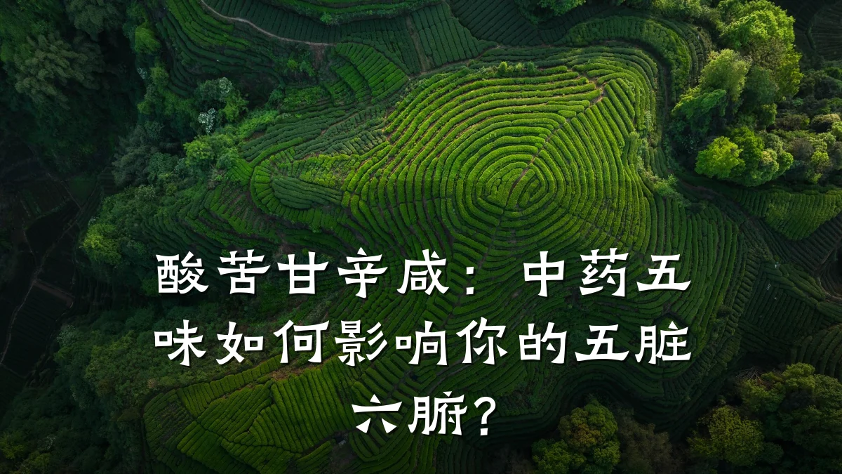 酸苦甘辛咸:中药五味如何影响你的五脏六腑?