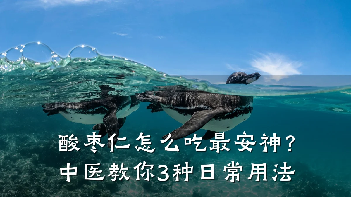 酸枣仁怎么吃最安神?中医教你3种日常用法