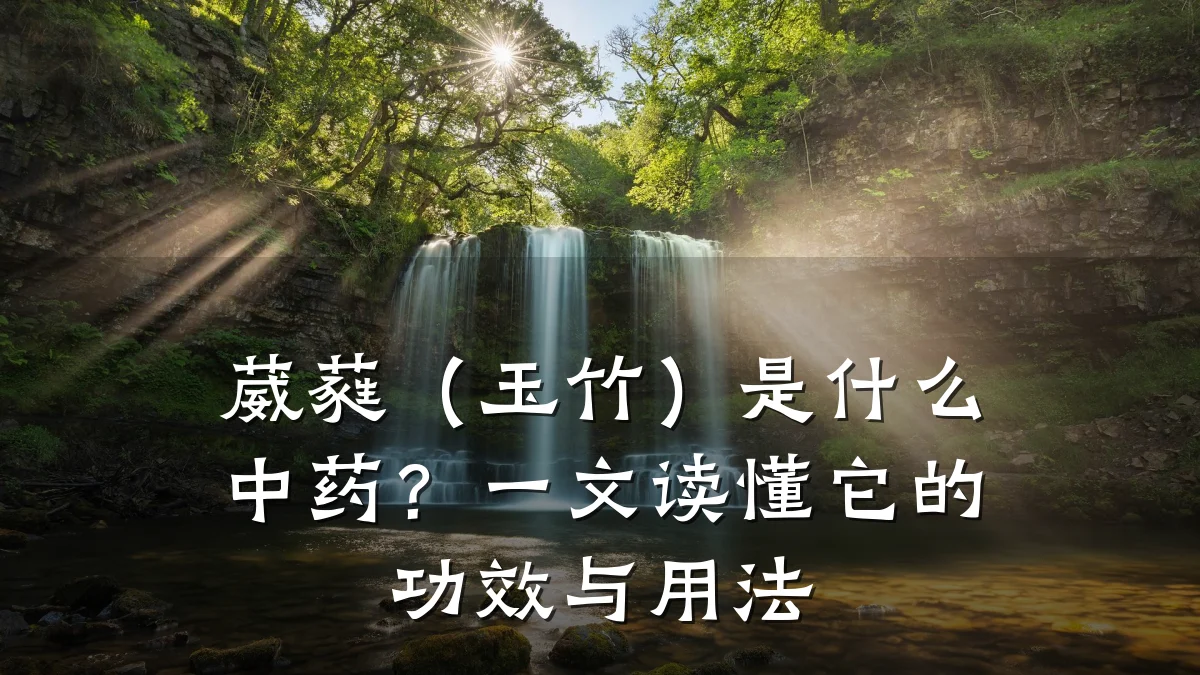 葳蕤(玉竹)是什么中药?一文读懂它的功效与用法