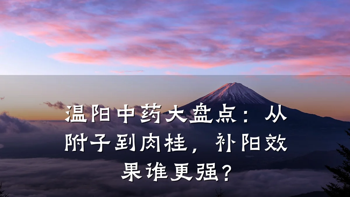 温阳中药大盘点:从附子到肉桂,补阳效果谁更强?