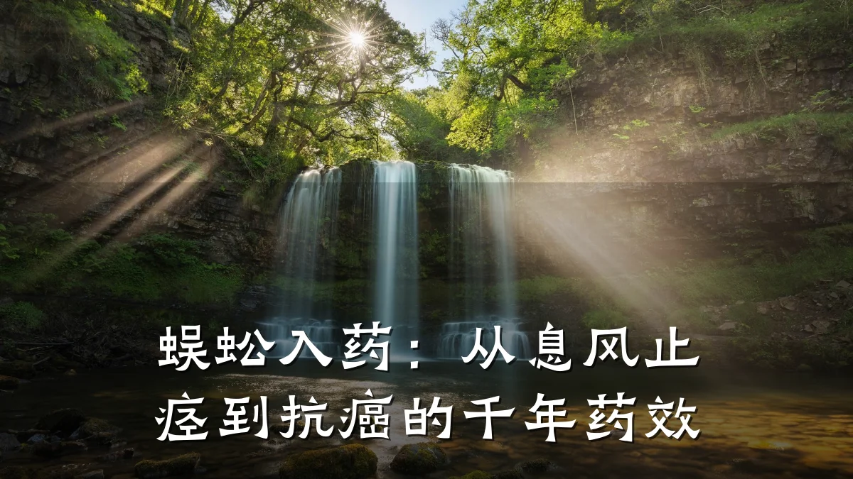 蜈蚣入药:从息风止痉到抗癌的千年药效