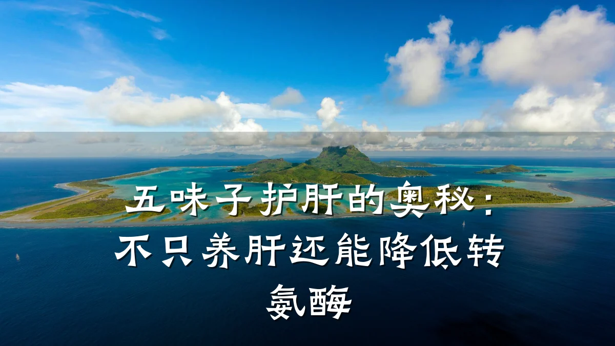 五味子护肝的奥秘:不只养肝还能降低转氨酶