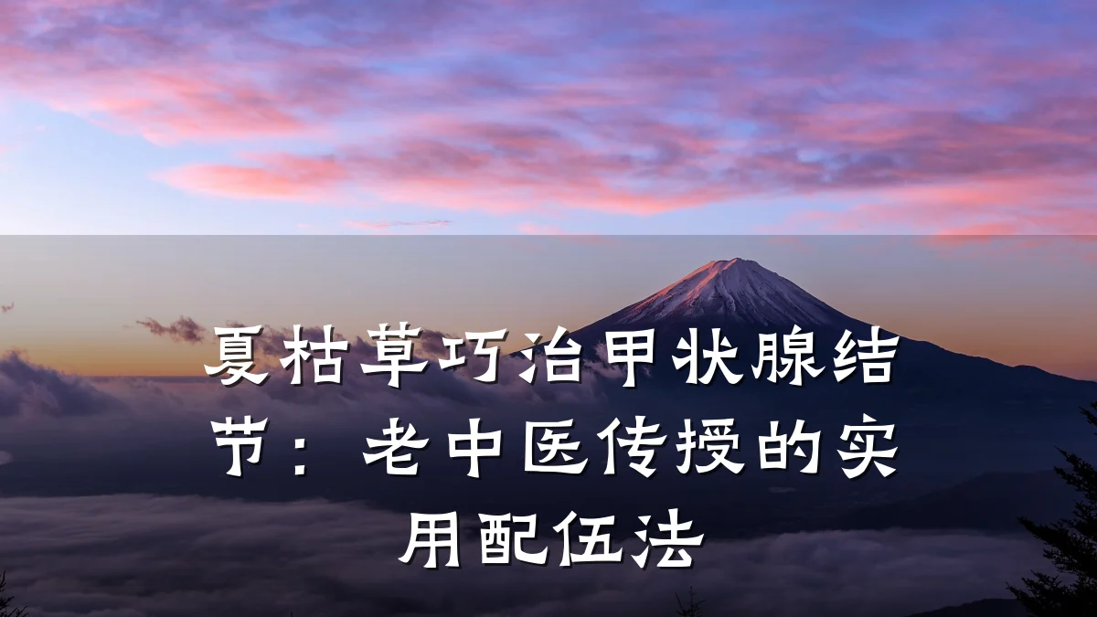 夏枯草巧治甲状腺结节:老中医传授的实用配伍法