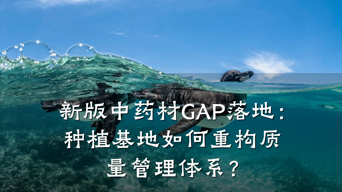 新版中药材GAP落地：种植基地如何重构质量管理体系？