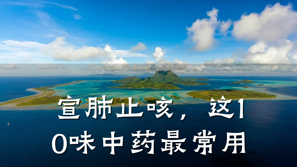 宣肺止咳,这10味中药最常用