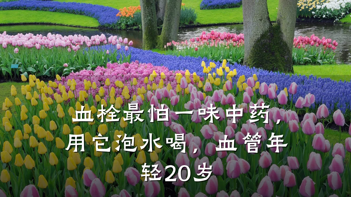血栓最怕一味中药，用它泡水喝，血管年轻20岁