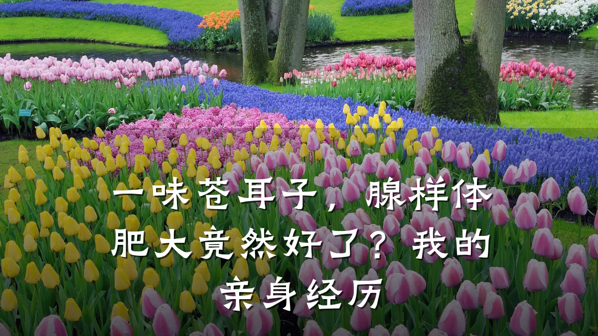 一味苍耳子,腺样体肥大竟然好了?我的亲身经历