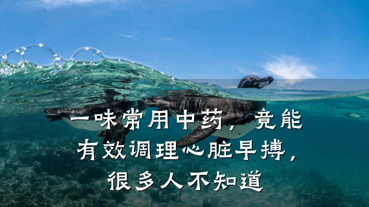 一味常用中药,竟能有效调理心脏早搏,很多人不知道