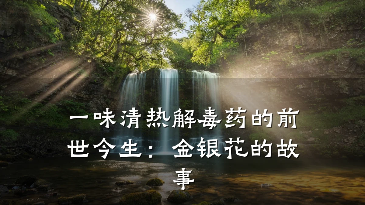 一味清热解毒药的前世今生:金银花的故事