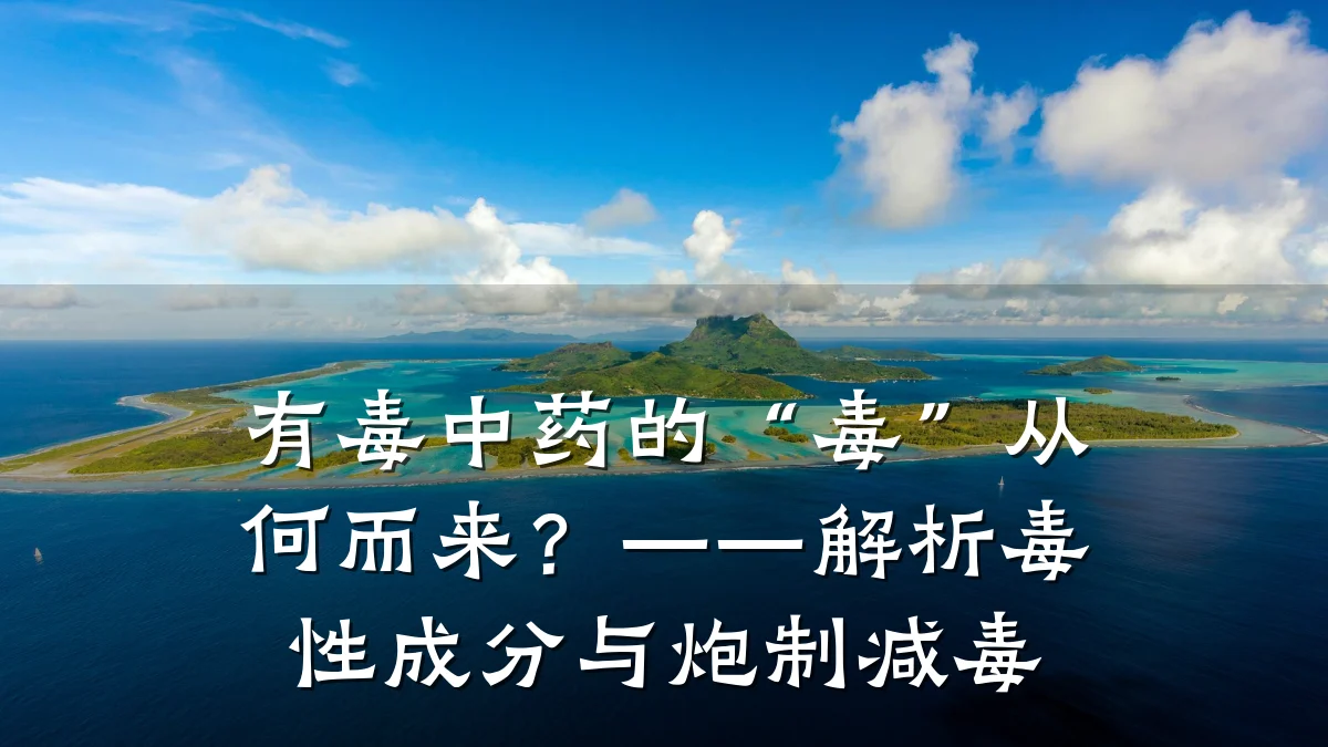 有毒中药的“毒”从何而来?——解析毒性成分与炮制减毒