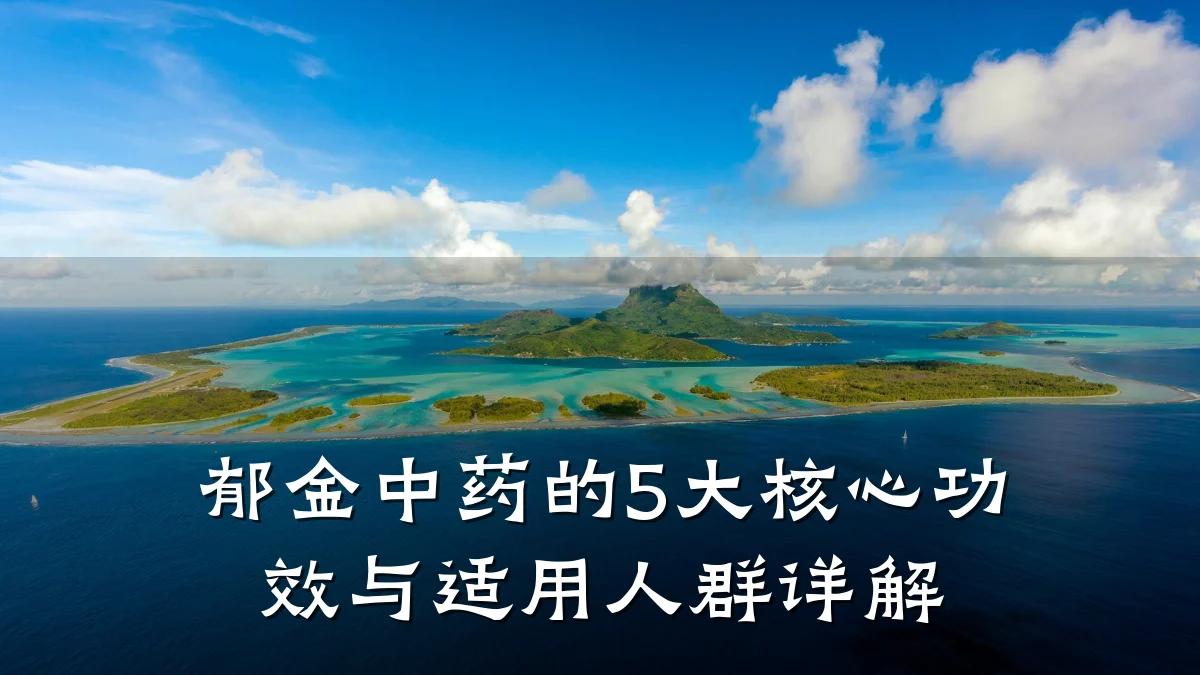 郁金中药的5大核心功效与适用人群详解