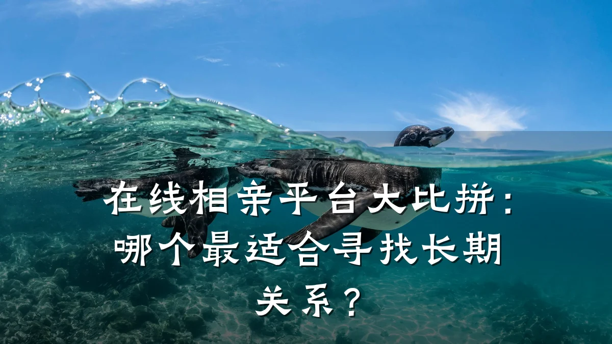 在线相亲平台大比拼：哪个最适合寻找长期关系？