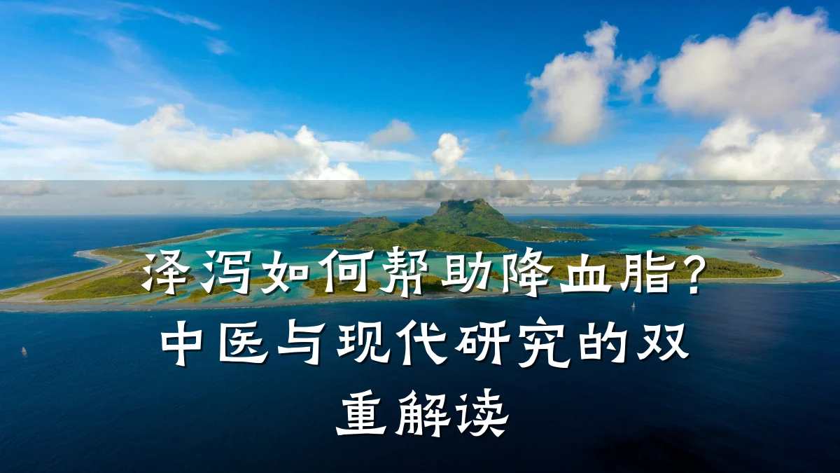 泽泻如何帮助降血脂?中医与现代研究的双重解读