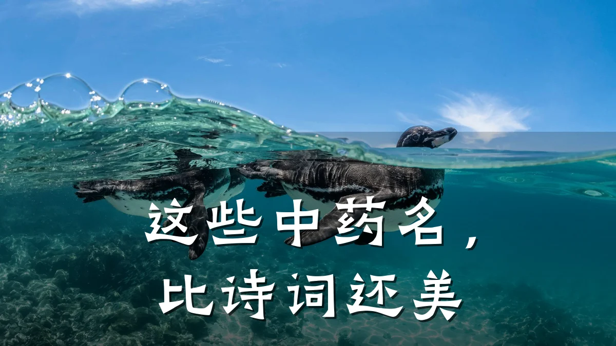 这些中药名,比诗词还美