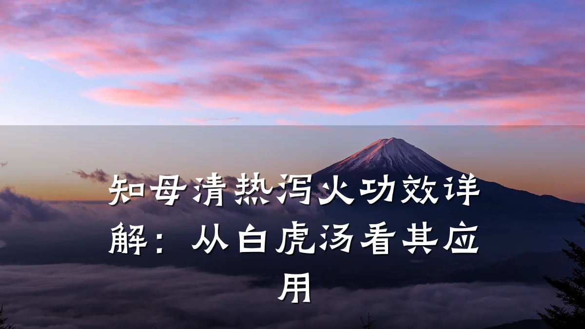 知母清热泻火功效详解：从白虎汤看其应用