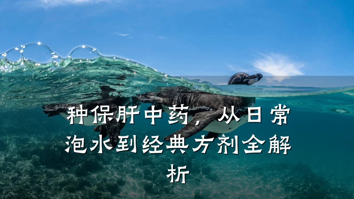 种保肝中药,从日常泡水到经典方剂全解析