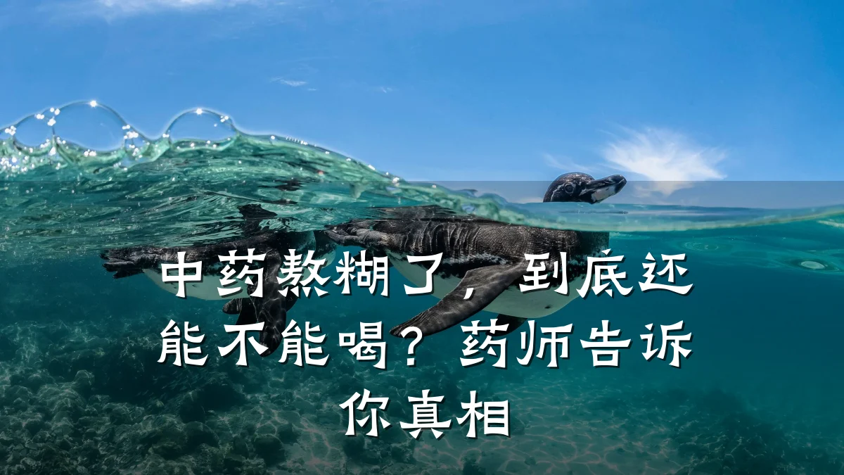 中药熬糊了,到底还能不能喝?药师告诉你真相