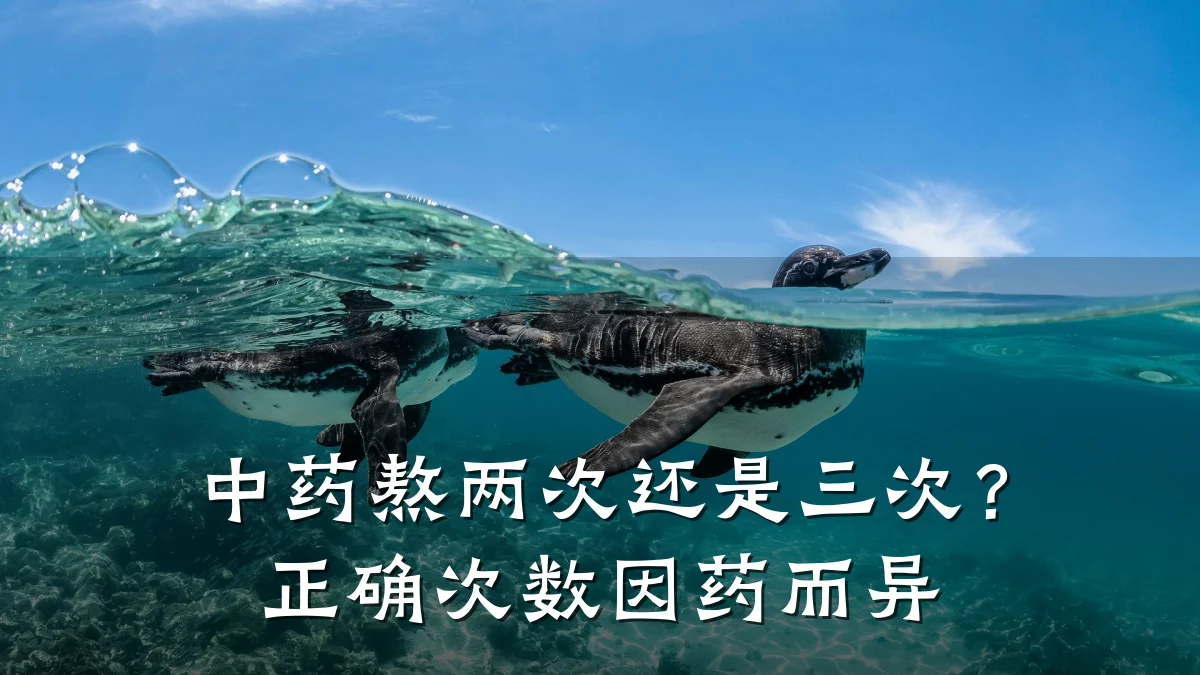 中药熬两次还是三次?正确次数因药而异