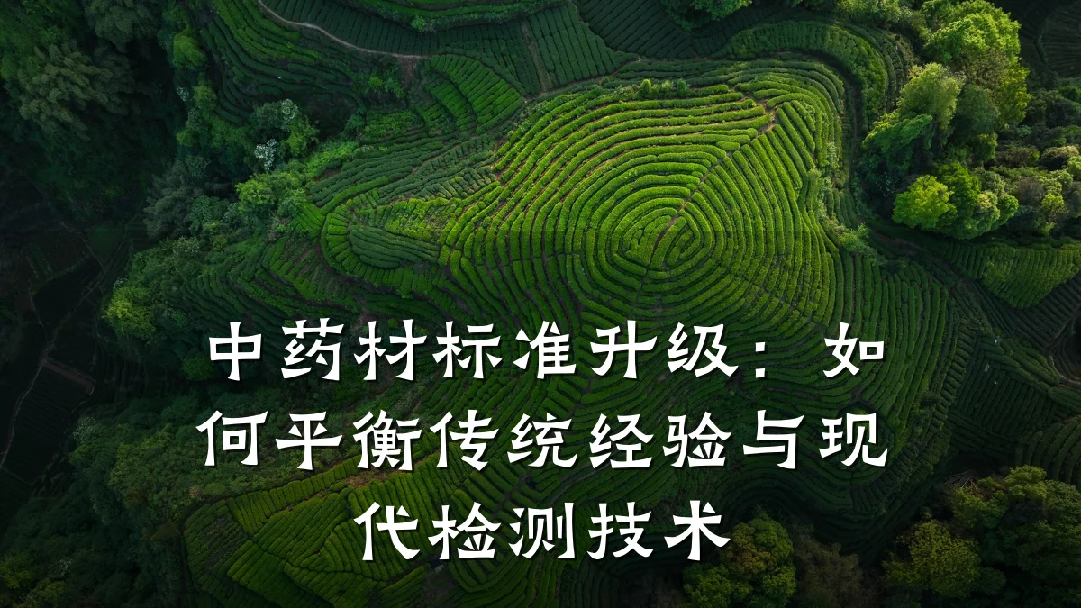 中药材标准升级：如何平衡传统经验与现代检测技术