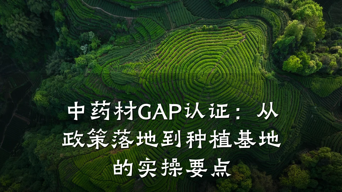 中药材GAP认证:从政策落地到种植基地的实操要点