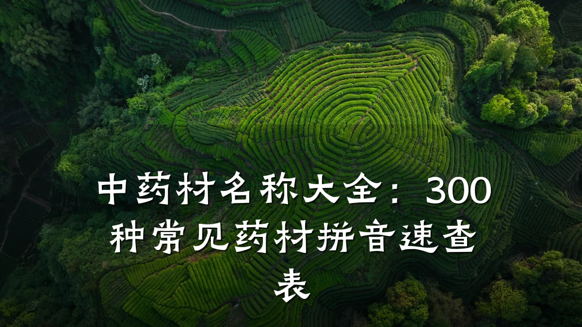 中药材名称大全：300种常见药材拼音速查表