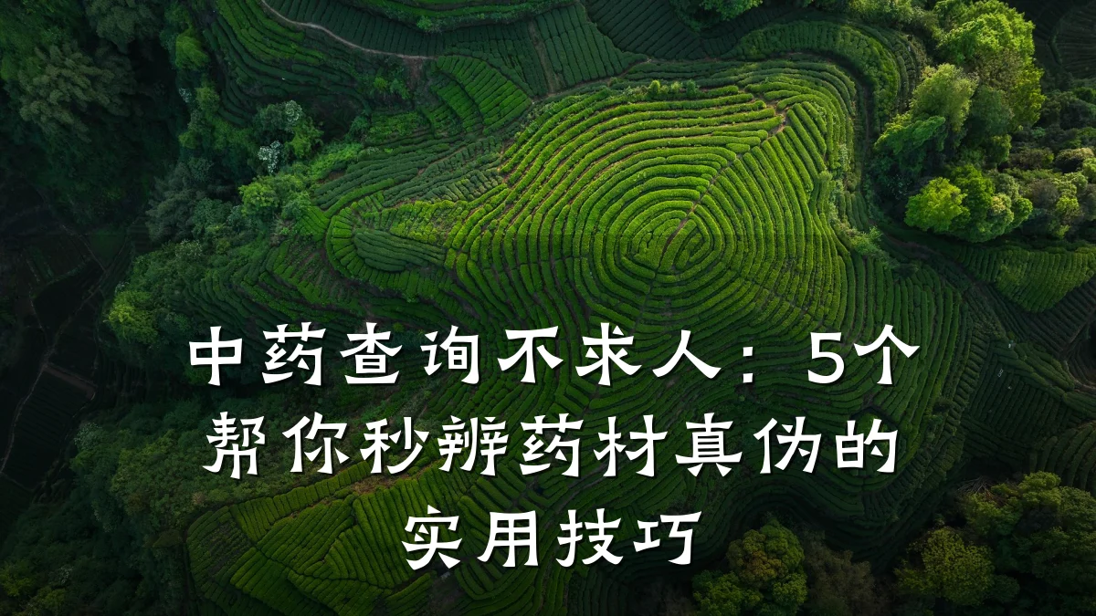 中药查询不求人:5个帮你秒辨药材真伪的实用技巧