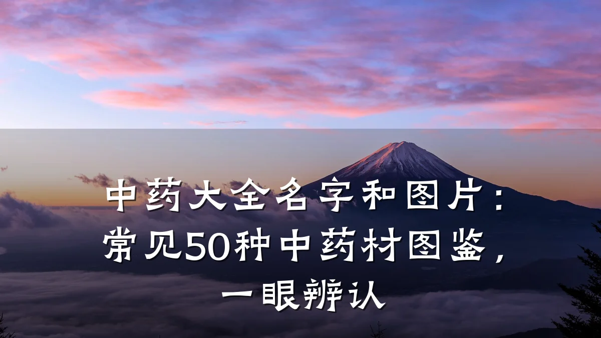 中药大全名字和图片：常见50种中药材图鉴，一眼辨认