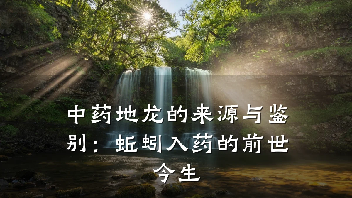 中药地龙的来源与鉴别:蚯蚓入药的前世今生