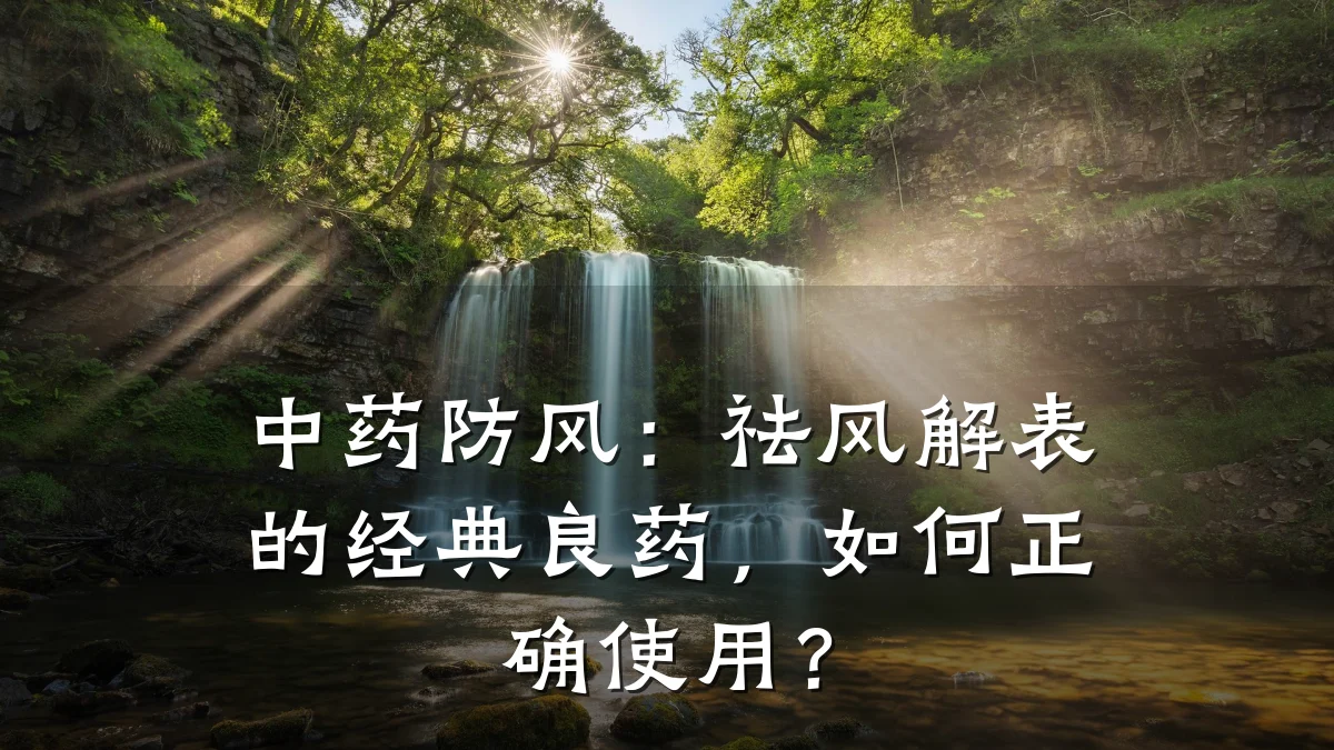 中药防风:祛风解表的经典良药,如何正确使用?