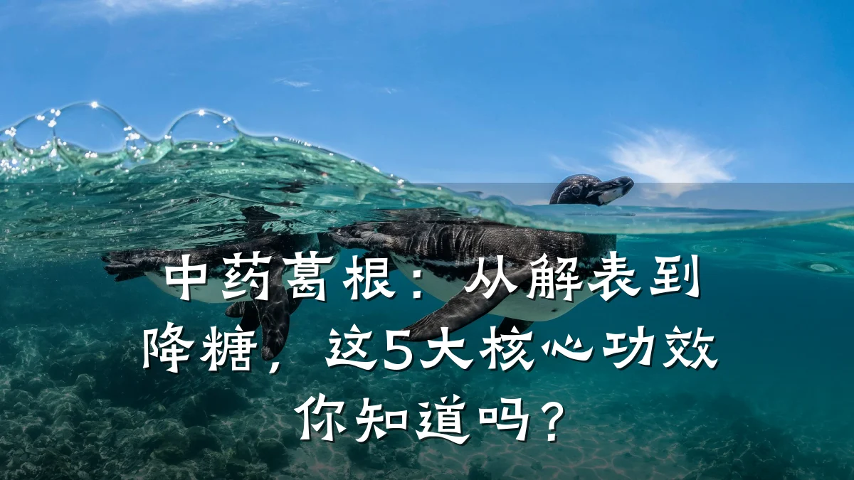 中药葛根:从解表到降糖,这5大核心功效你知道吗?