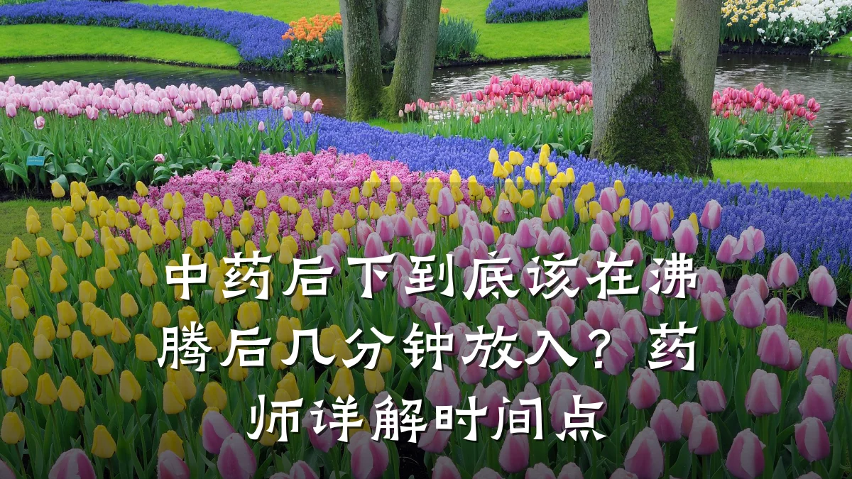 中药后下到底该在沸腾后几分钟放入?药师详解时间点