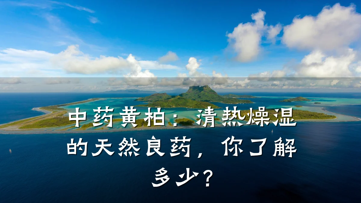 中药黄柏：清热燥湿的天然良药，你了解多少？