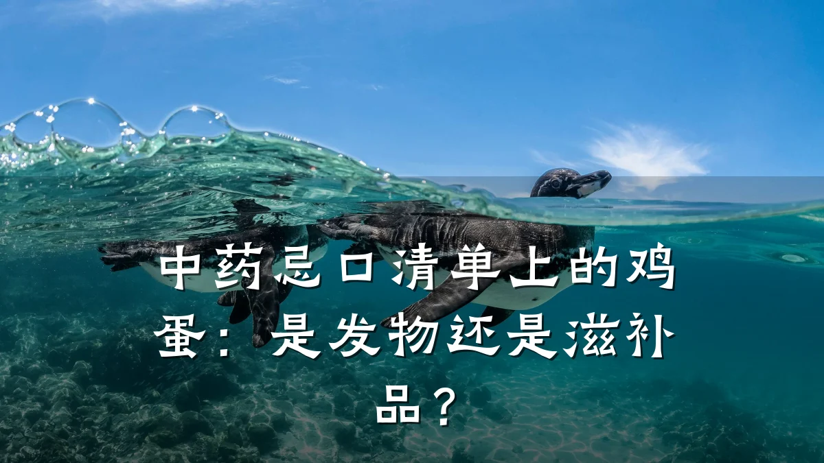 中药忌口清单上的鸡蛋：是发物还是滋补品？