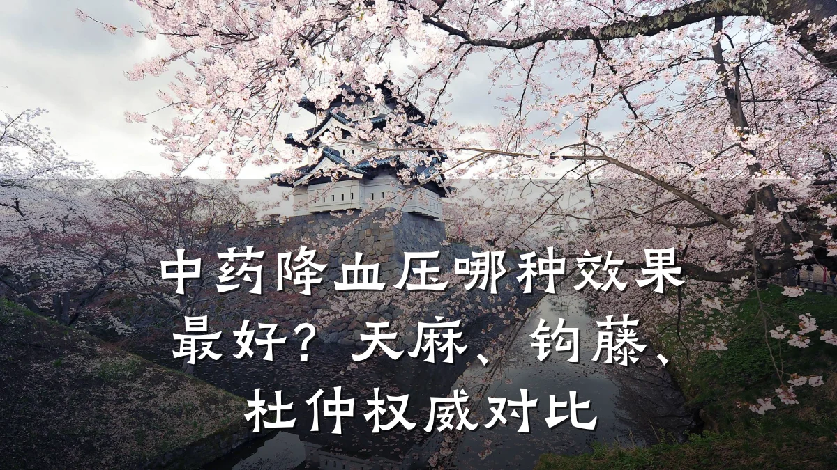 中药降血压哪种效果最好?天麻、钩藤、杜仲权威对比