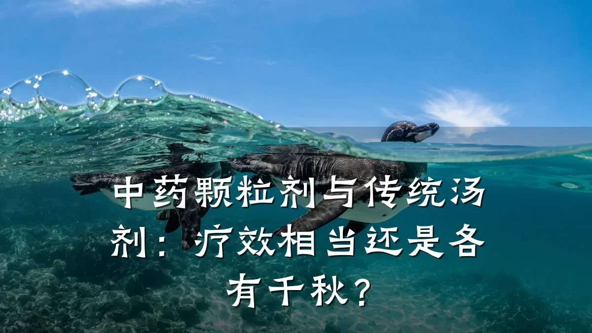 中药颗粒剂与传统汤剂:疗效相当还是各有千秋?