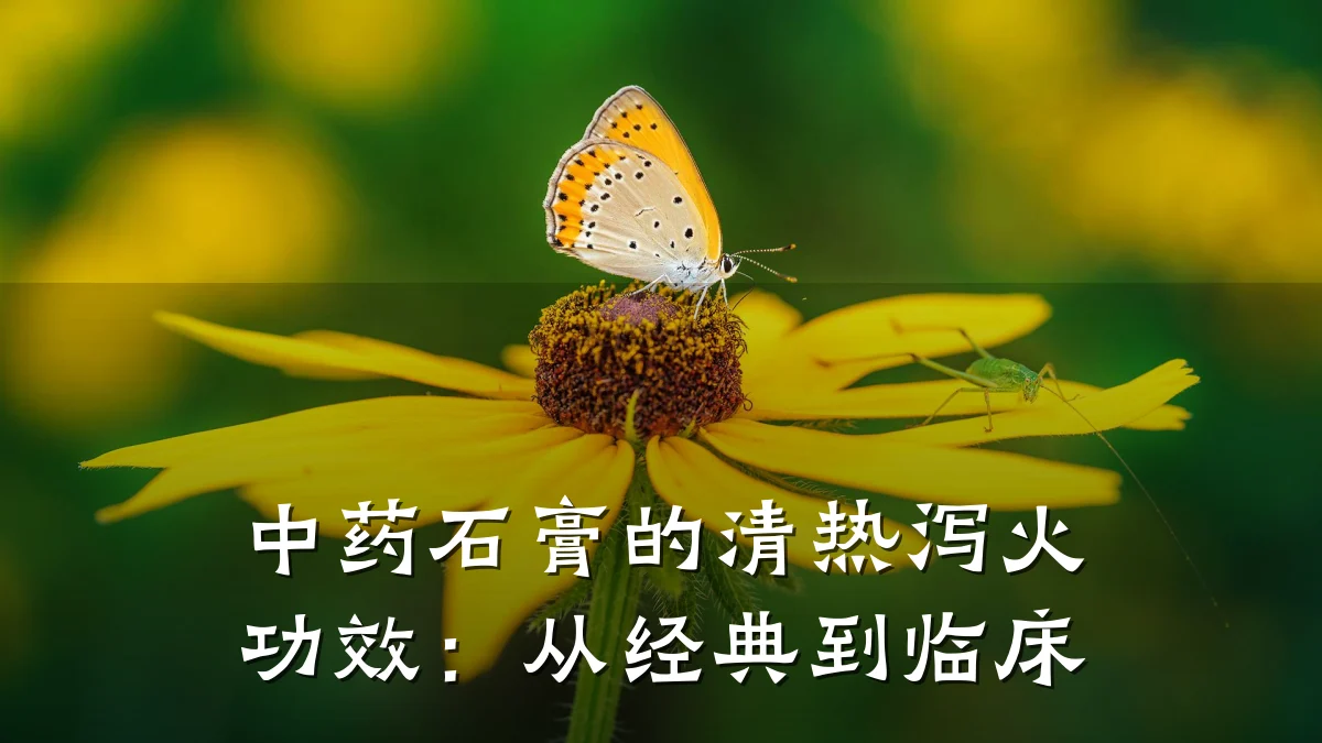 中药石膏的清热泻火功效:从经典到临床