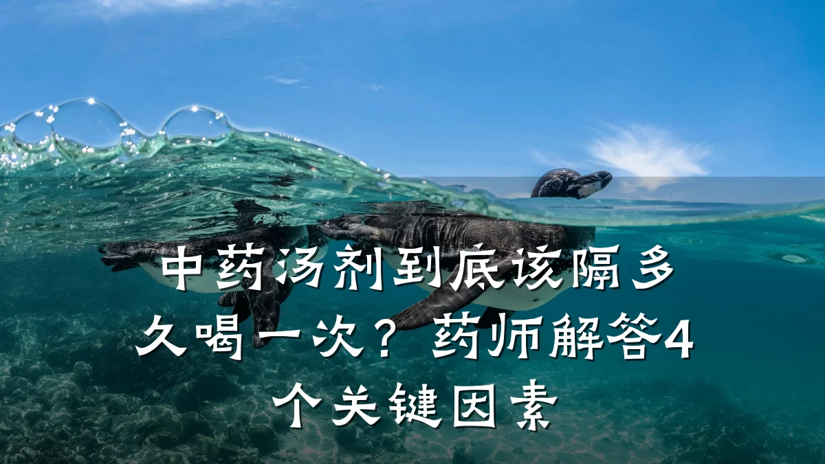 中药汤剂到底该隔多久喝一次?药师解答4个关键因素