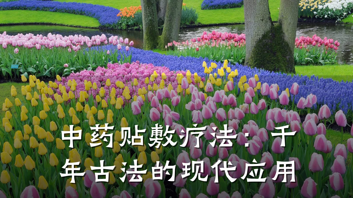 中药贴敷疗法:千年古法的现代应用