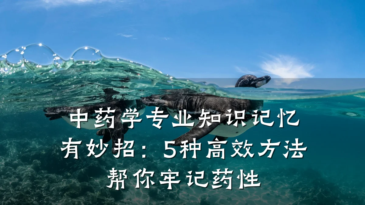 中药学专业知识记忆有妙招：5种高效方法帮你牢记药性