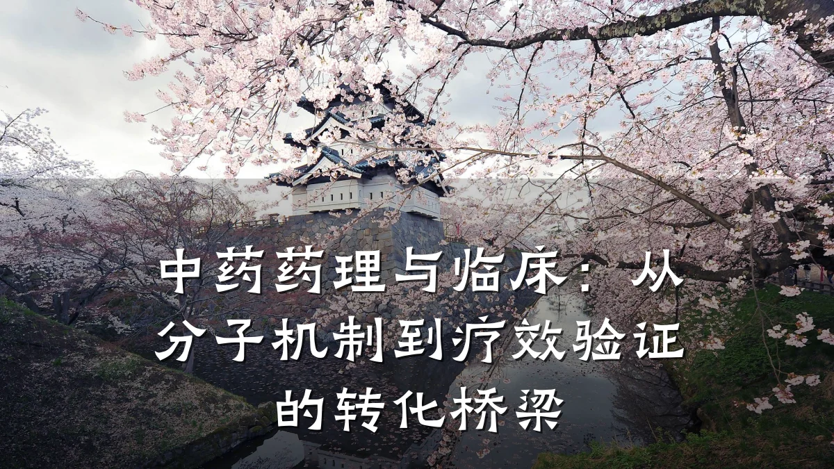 中药药理与临床:从分子机制到疗效验证的转化桥梁