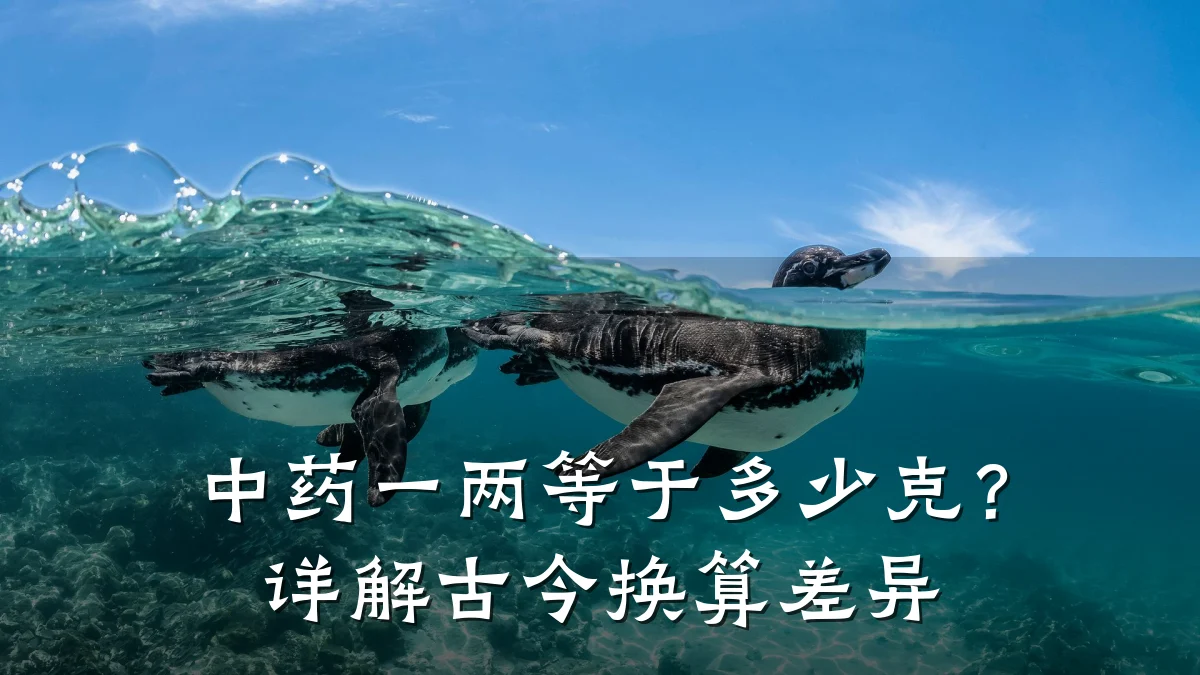 中药一两等于多少克？详解古今换算差异