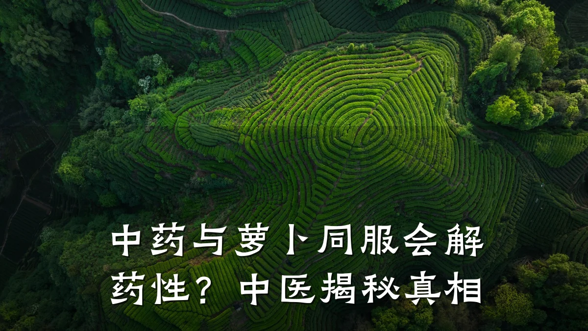 中药与萝卜同服会解药性?中医揭秘真相