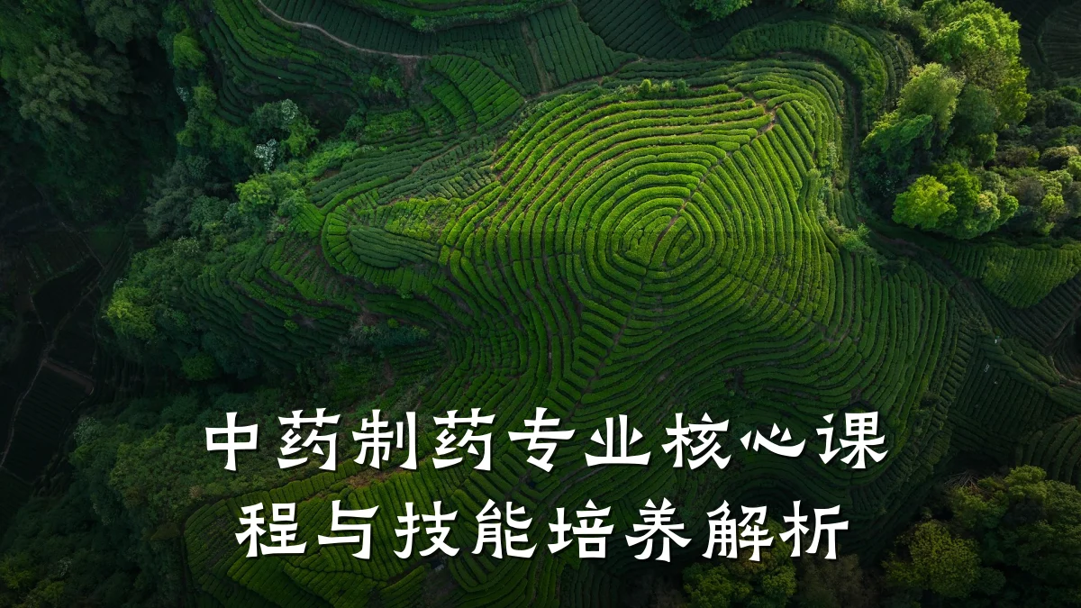 中药制药专业核心课程与技能培养解析
