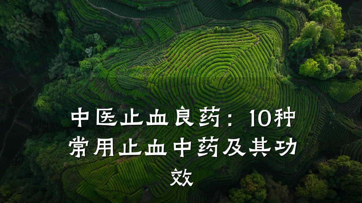 中医止血良药：10种常用止血中药及其功效