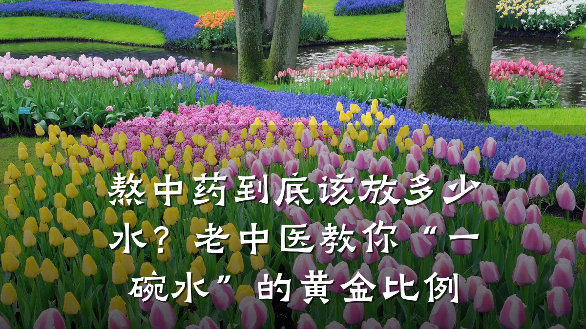 熬中药到底该放多少水？老中医教你“一碗水”的黄金比例