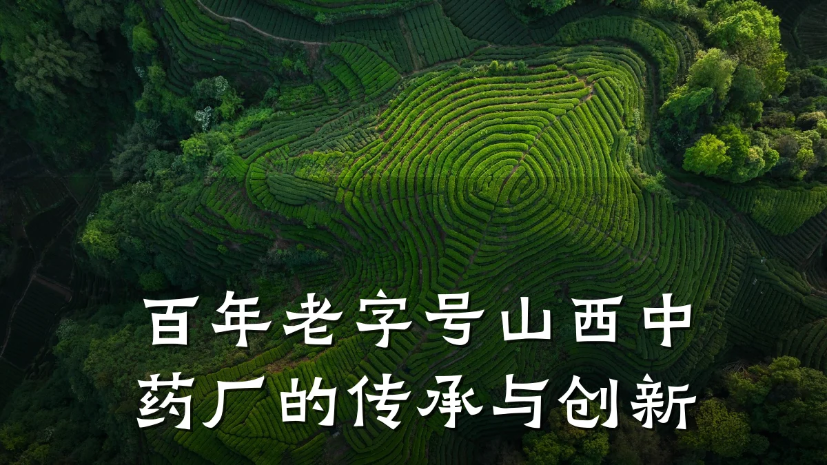 百年老字号山西中药厂的传承与创新