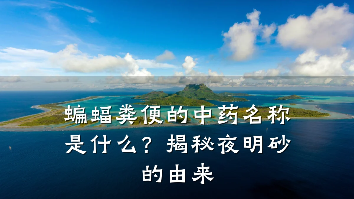 蝙蝠粪便的中药名称是什么？揭秘夜明砂的由来