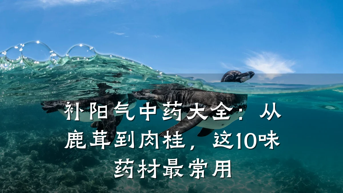 补阳气中药大全:从鹿茸到肉桂,这10味药材最常用